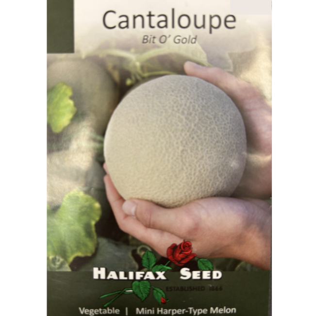 Halifax Seed Cantaloupe Bit o' Gold Pkg.