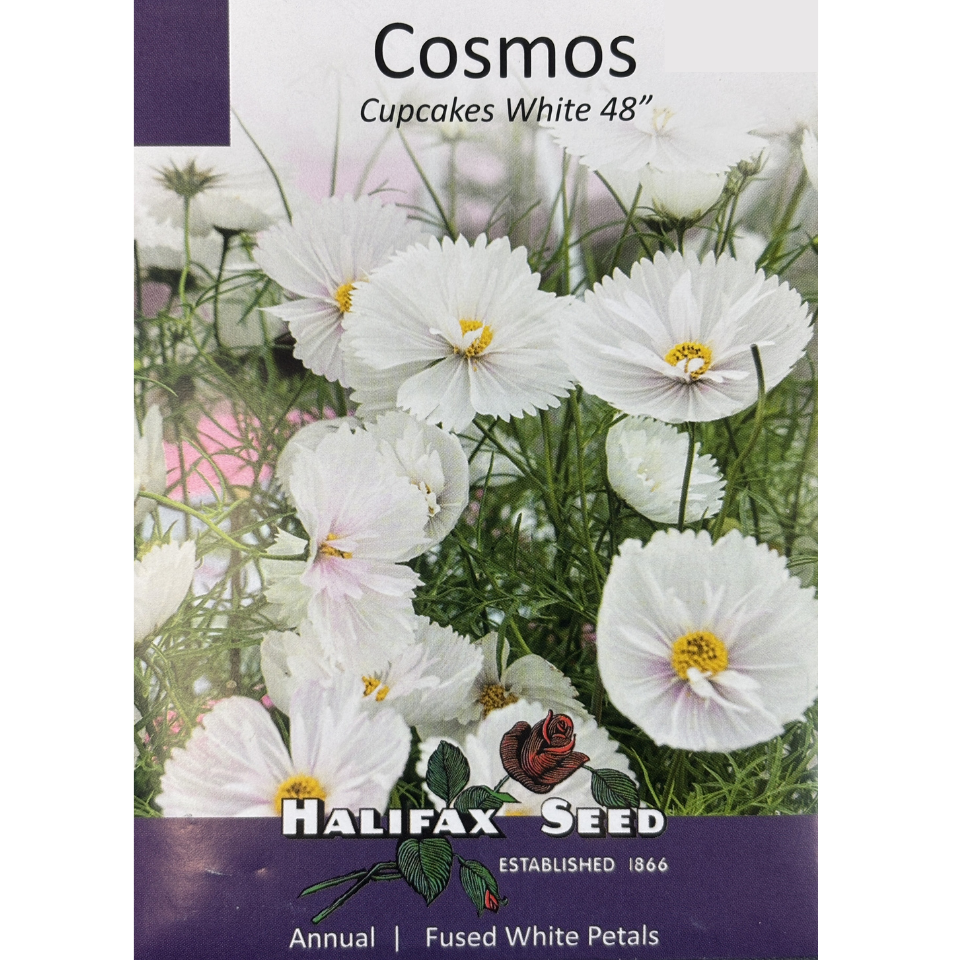 Halifax Seed Cosmos Cupcakes White Pkg.