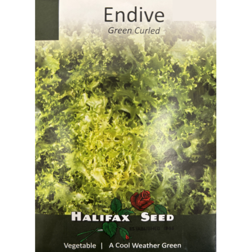 Halifax Seed Endive Green Curled