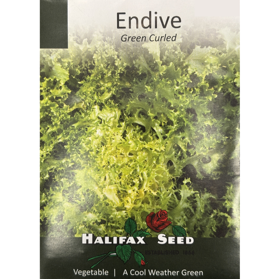 Halifax Seed Endive Green Curled