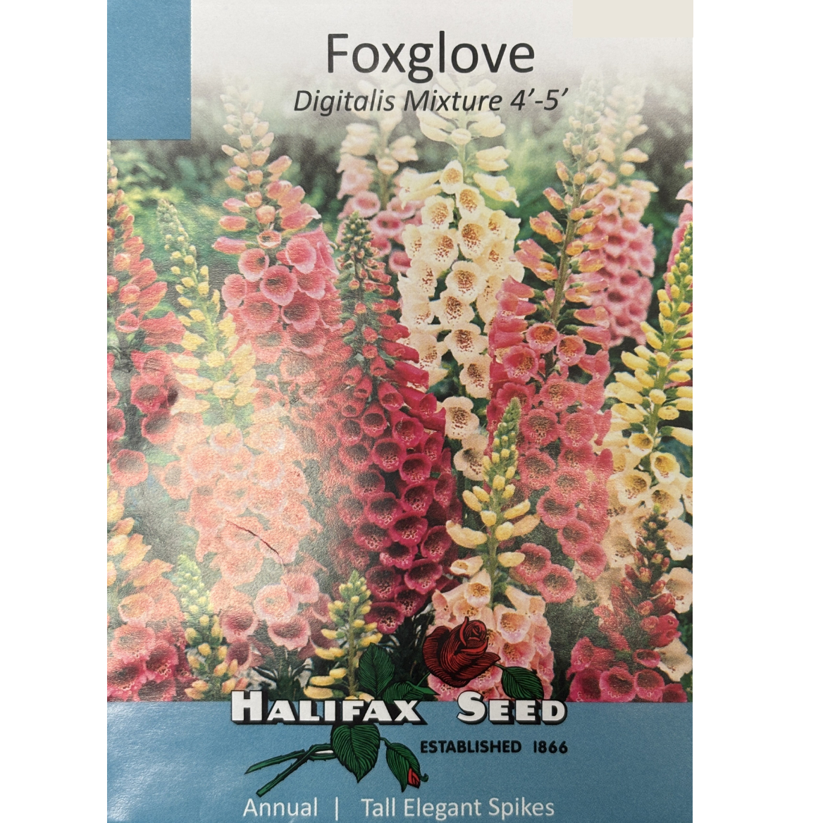 Halifax Seed Foxglove Digitalis Mix Pkg.