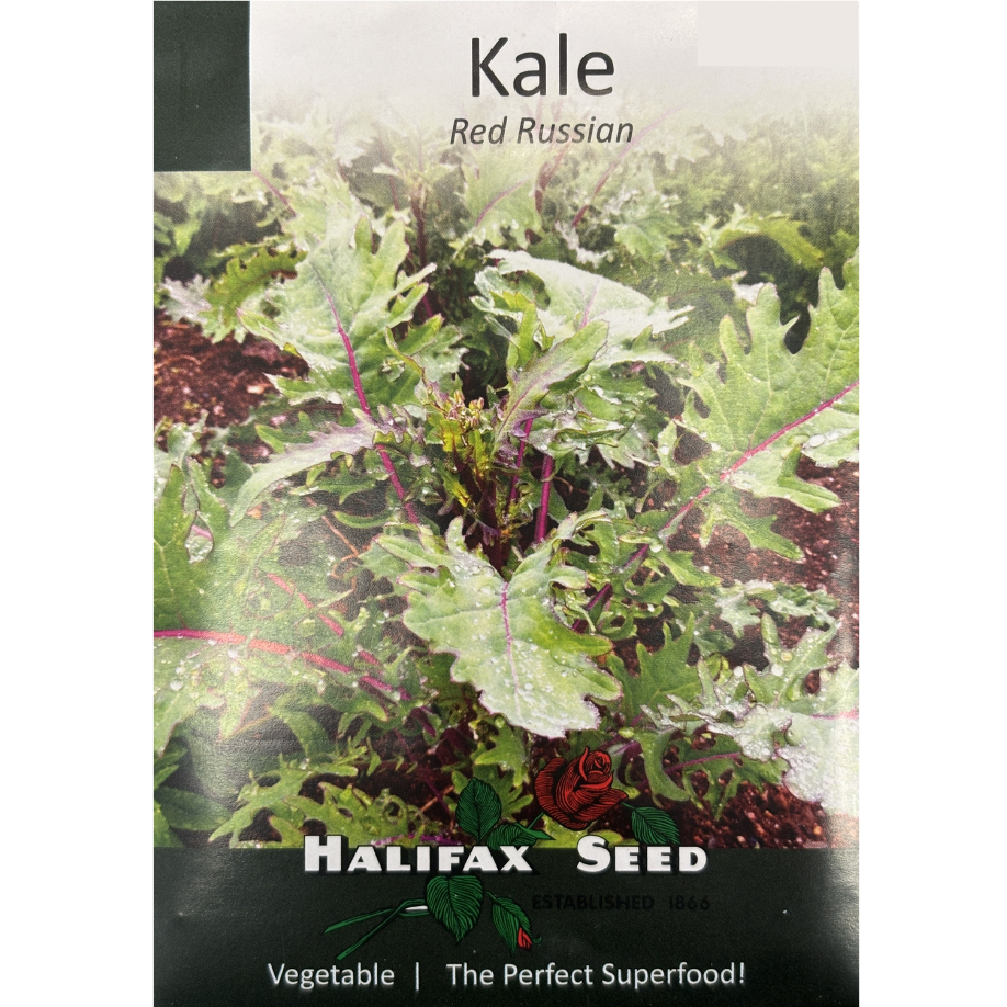 Halifax Seed Kale Red Russian Pkg.
