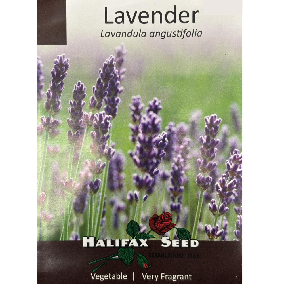 Halifax Herb Seed Lavender