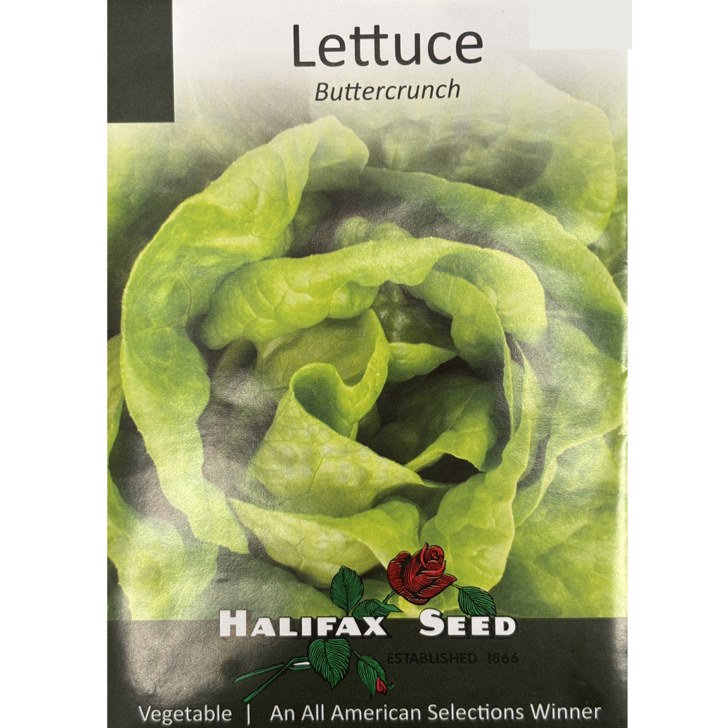 Halifax Seed Lettuce Buttercrunch Pkg.