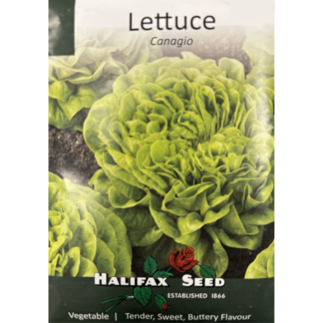 Halifax Seed Lettuce Canagio Pkg.