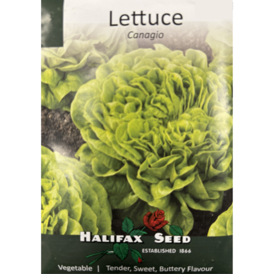 Halifax Seed Lettuce Canagio Pkg.
