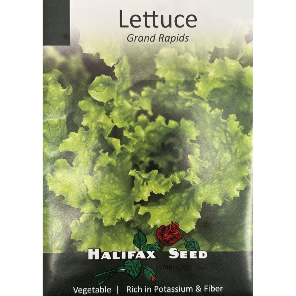 Halifax Seed Lettuce Grand Rapids Pkg.
