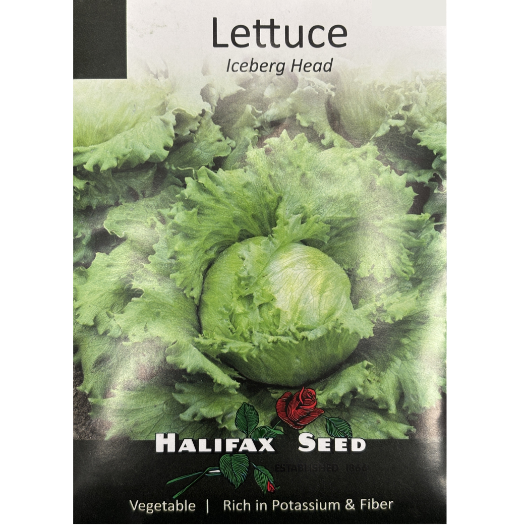 Halifax Seed Lettuce Iceberg Head Pkg.