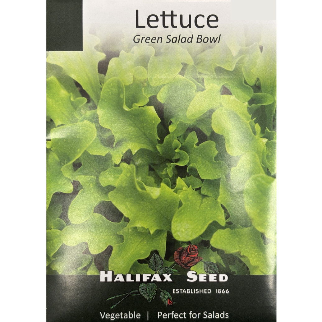 Halifax Seed Lettuce Green Salad Bowl Pkg.