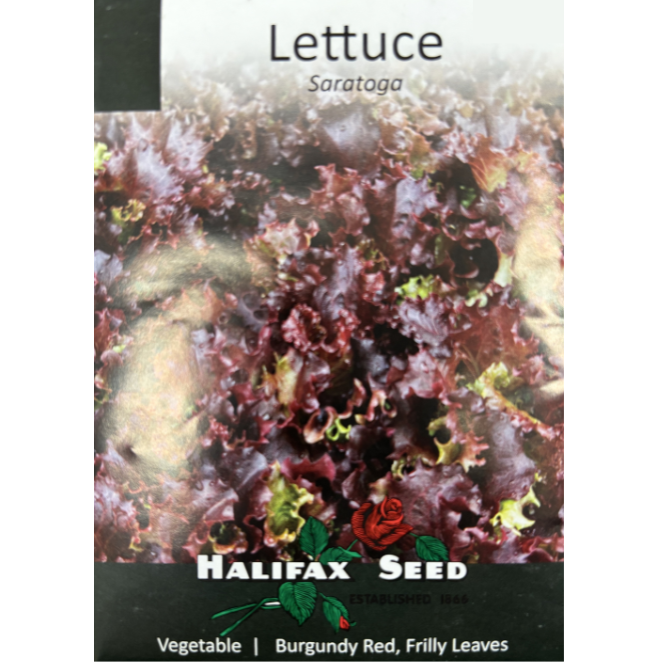 Halifax Seed Lettuce Saratoga Pkg.