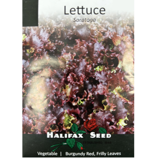 Halifax Seed Lettuce Saratoga Pkg.