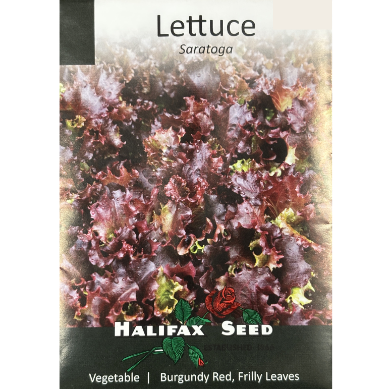 Halifax Seed Lettuce Saratoga Pkg.