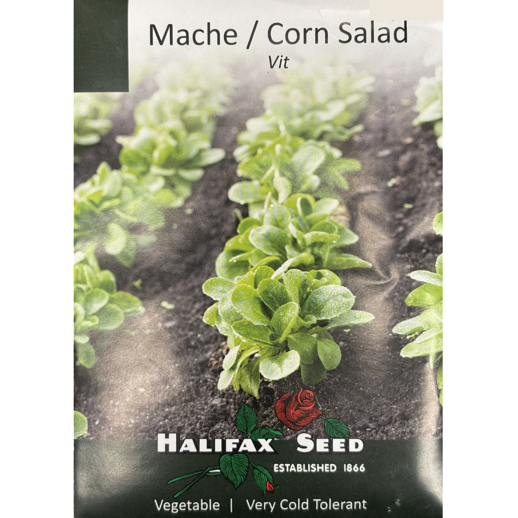 Halifax Seed Mache / Corn Salad Vit Pkg.