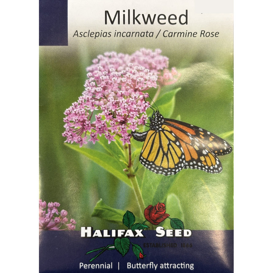 Halifax Seed Milkweed Carmine Rose Pkg.