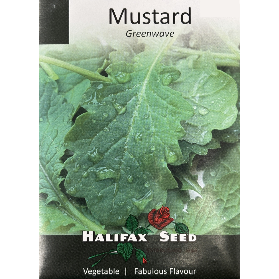 Halifax Seed Mustard Greenwave Pkg.