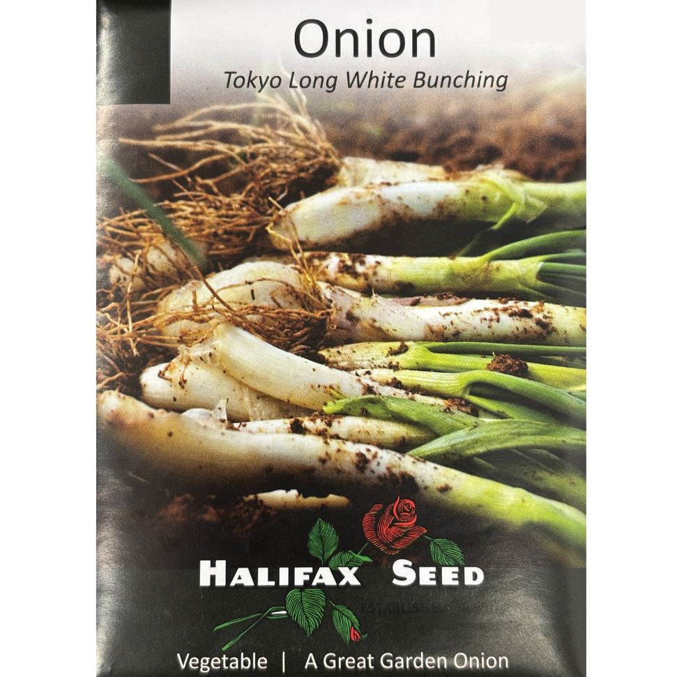 Halifax Seed Onion Tokyo Long White Bunching Pkg.