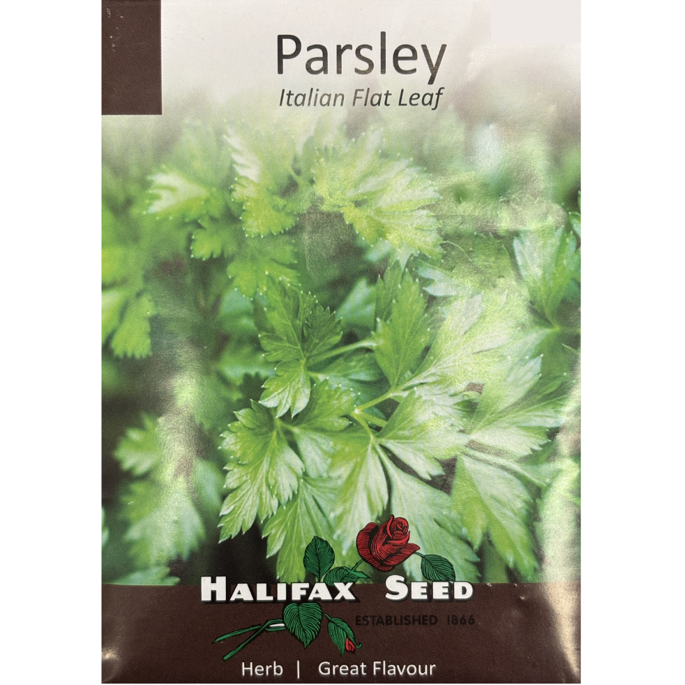 Halifax Herb Parsley Italian Flat Leaf Pkg.
