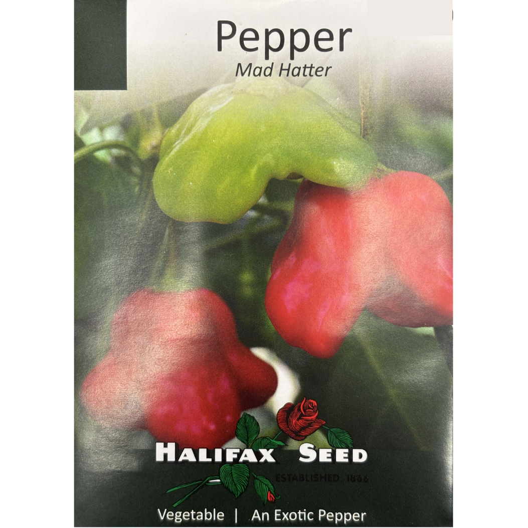Halifax Seed Pepper Mad Hatter Pkg.