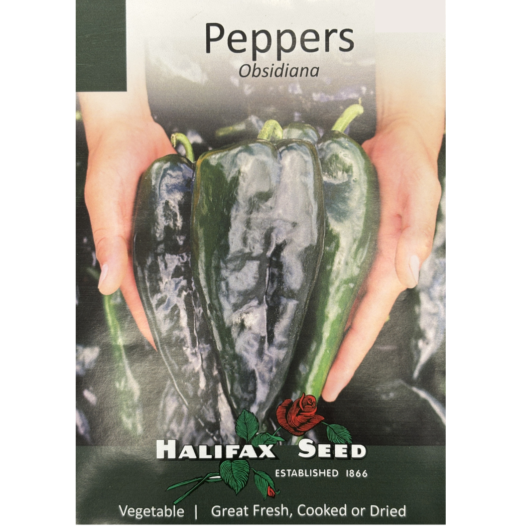 Halifax Seed Peppers Obsidiana Pkg.