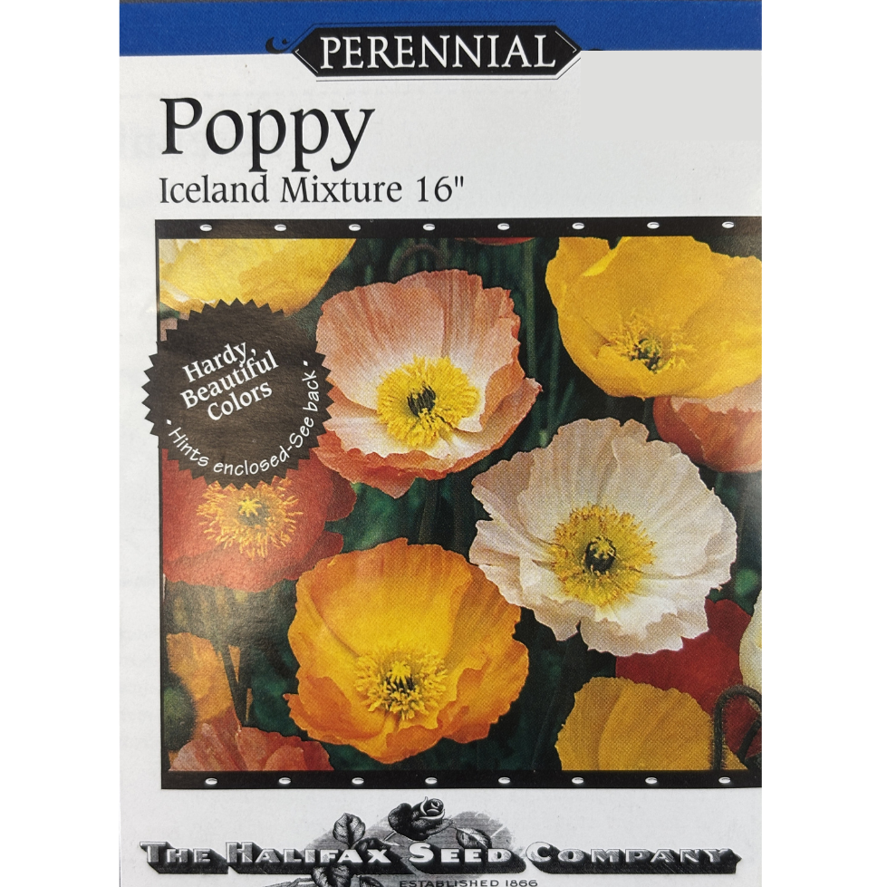 Halifax Seed Poppy Iceland Mixture Pkg.