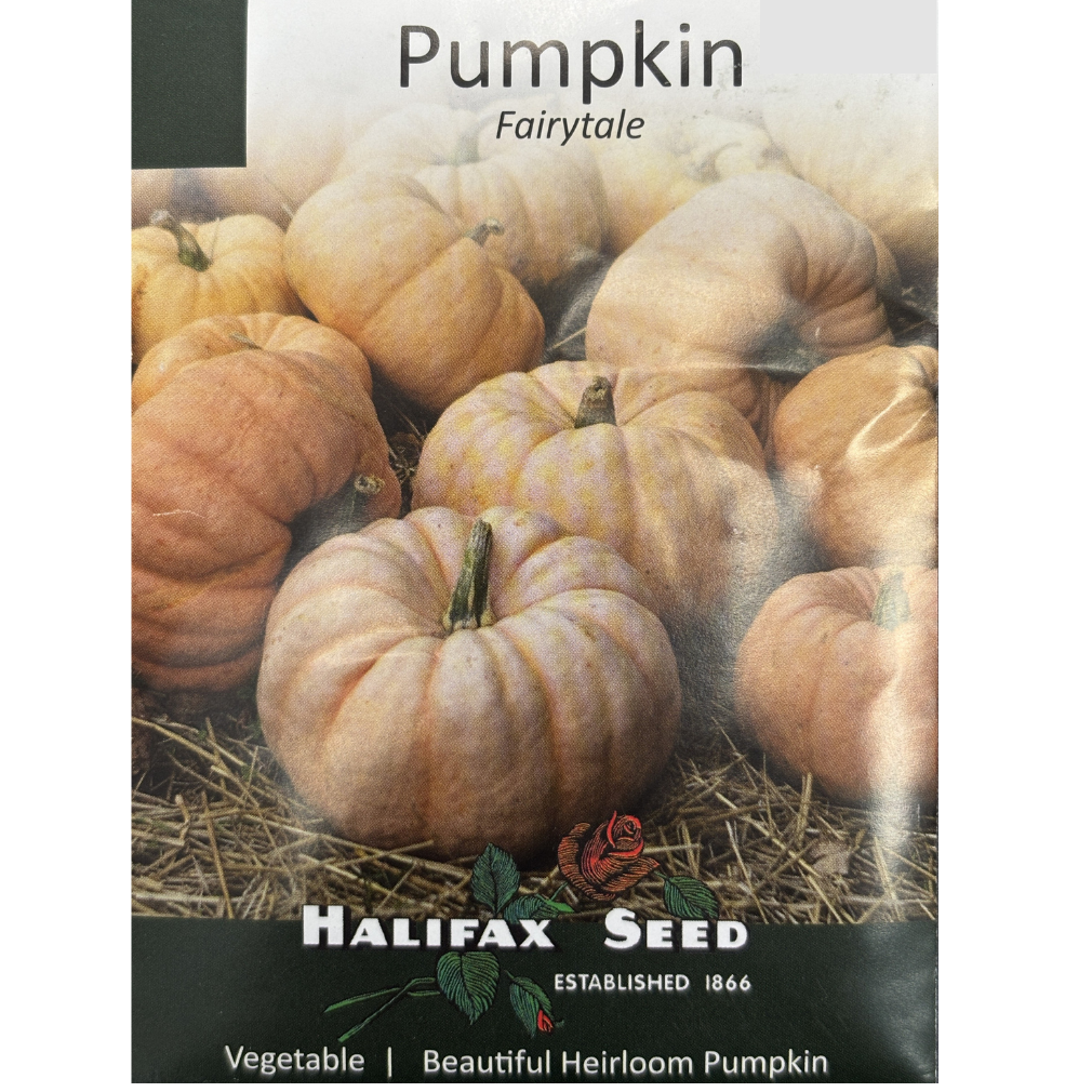 Halifax Seed Pumpkin Fairytale Pkg.