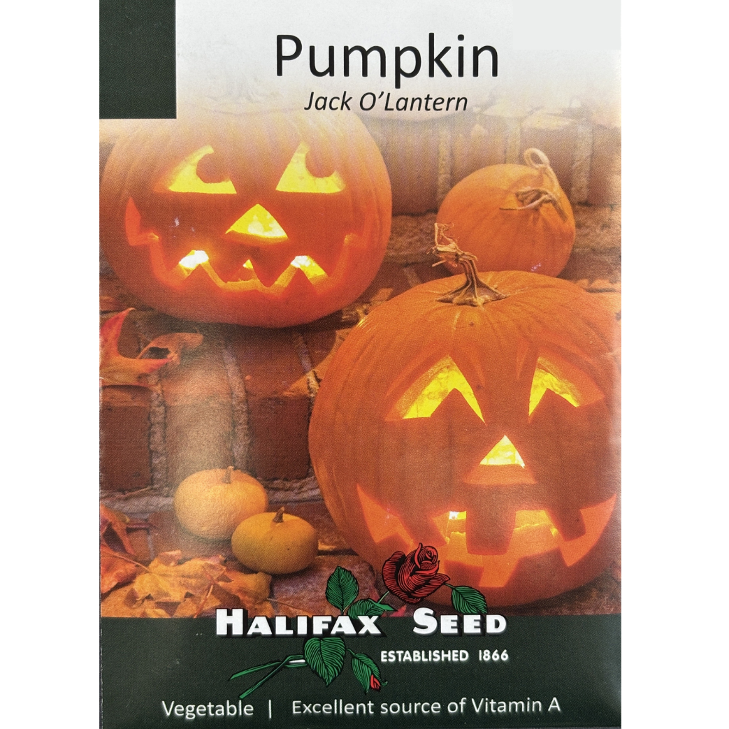 Halifax Seed Pumpkin Jack O'Lantern Pkg.