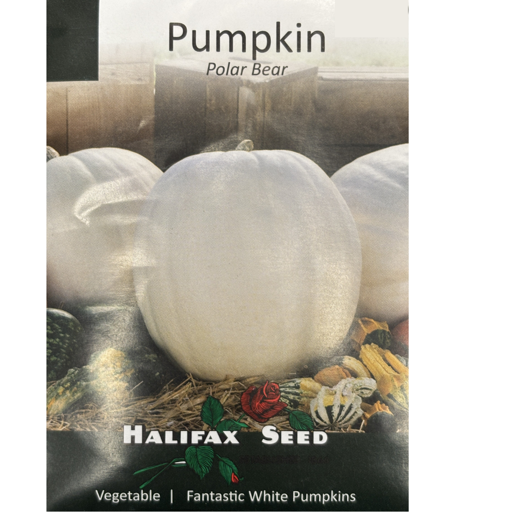 Halifax Seed Pumpkin Polar Bear Pkg.