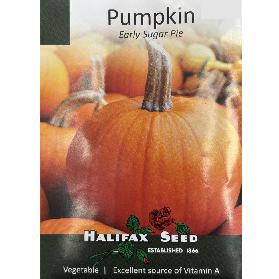 Halifax Seed Pumpkin Early Sugar Pie Pkg.