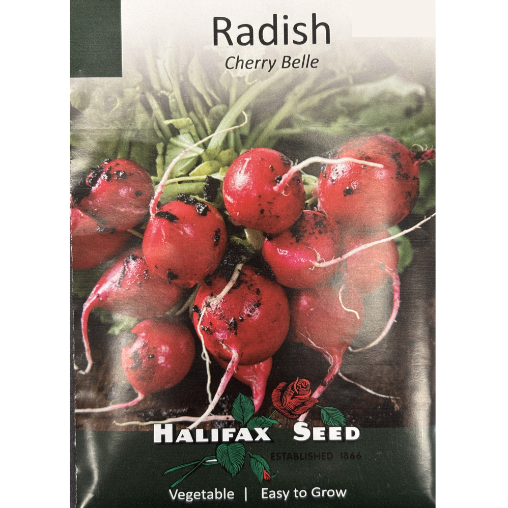Halifax Seed Radish Cherry Belle Pkg.