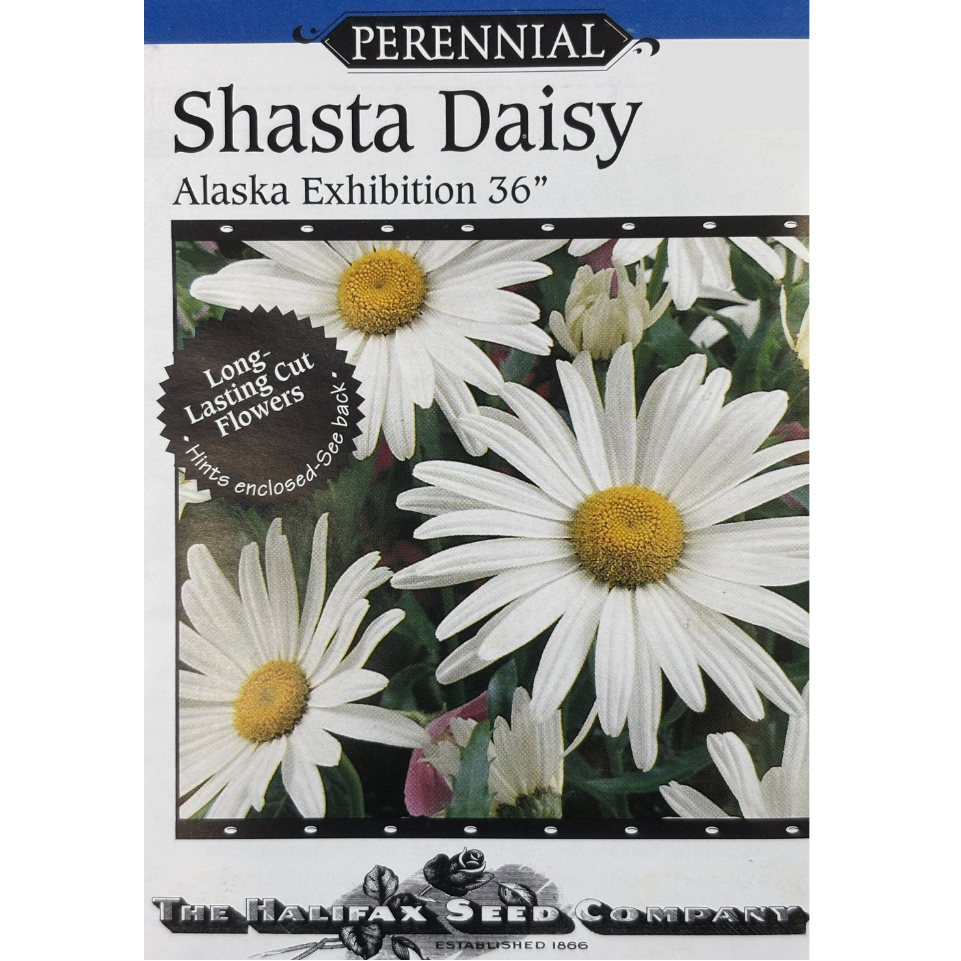 Halifax Seed Daisy Shasta Alaska Exhibitiion Pkg.