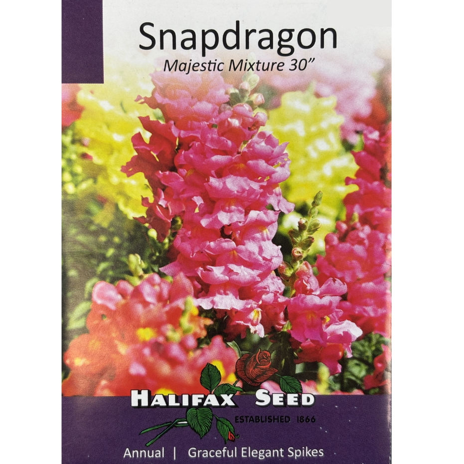 Halifax Seed Snapdragon Majestic Mixture 30"