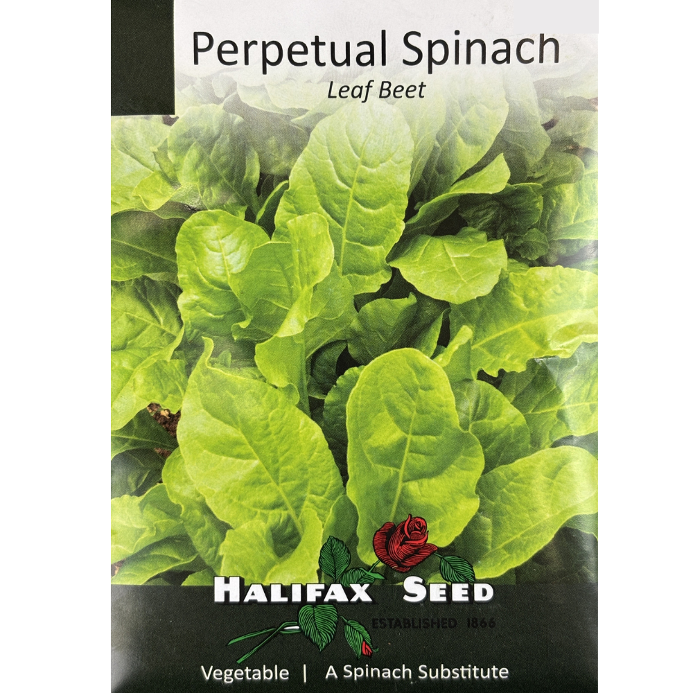 Halifax Seed Spinach Perpetual Leaf Beet Pkg.