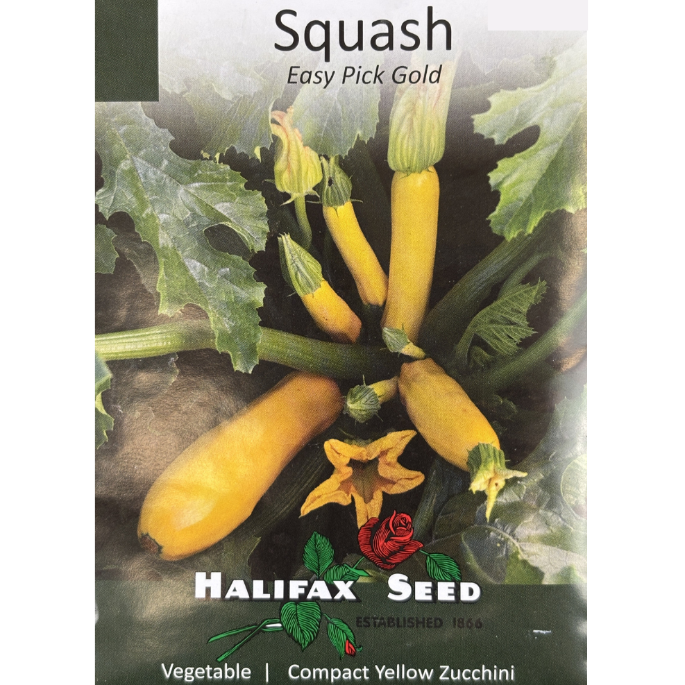 Halifax Seed Squash Easy Pick Gold Pkg.
