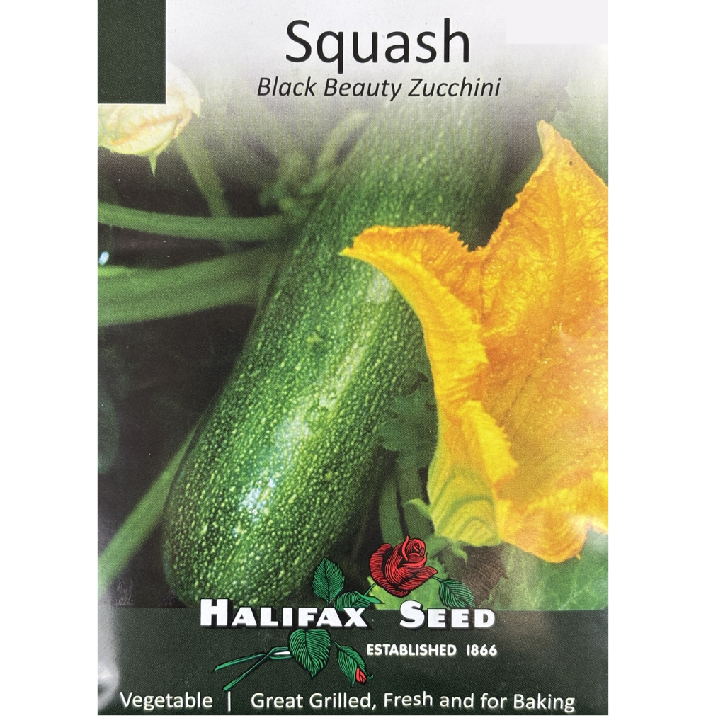 Halifax Seed Squash Black Beauty Zucchini Pkg.