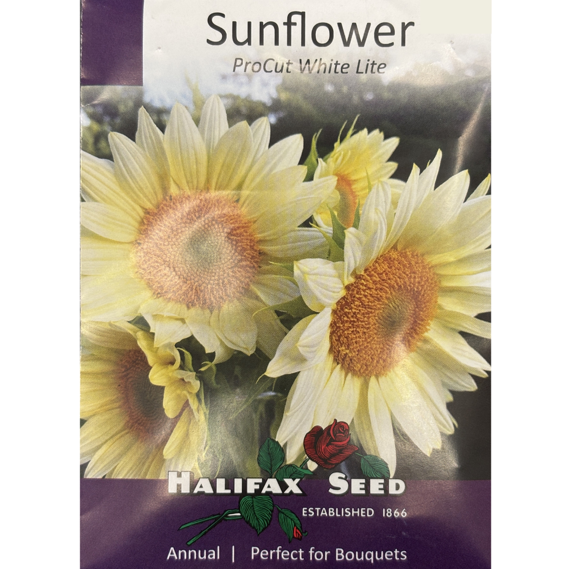 Halifax Seed Sunflower ProCut White Lite 60-72"