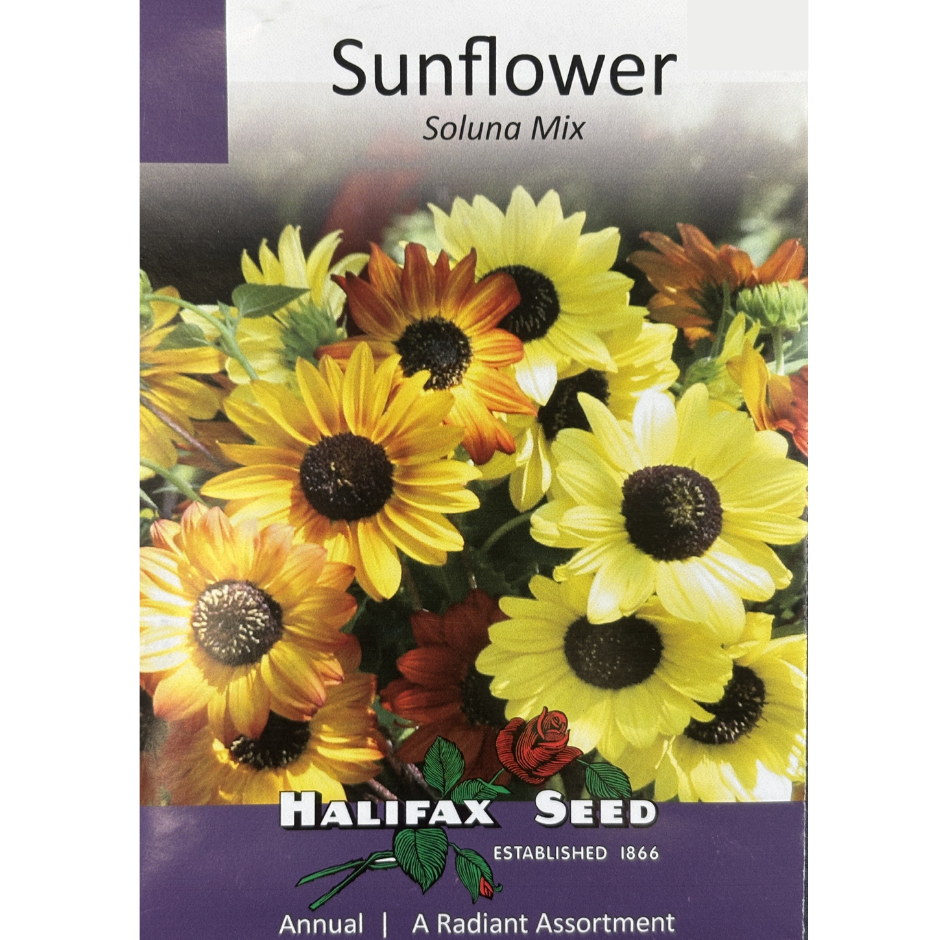 Halifax Seed Sunflower Soluna Mix Pkg.