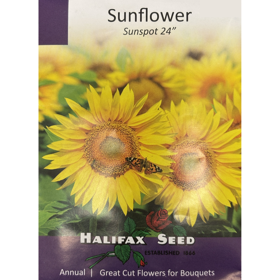 Halifax Seed Sunflower Sunspot Pkg.