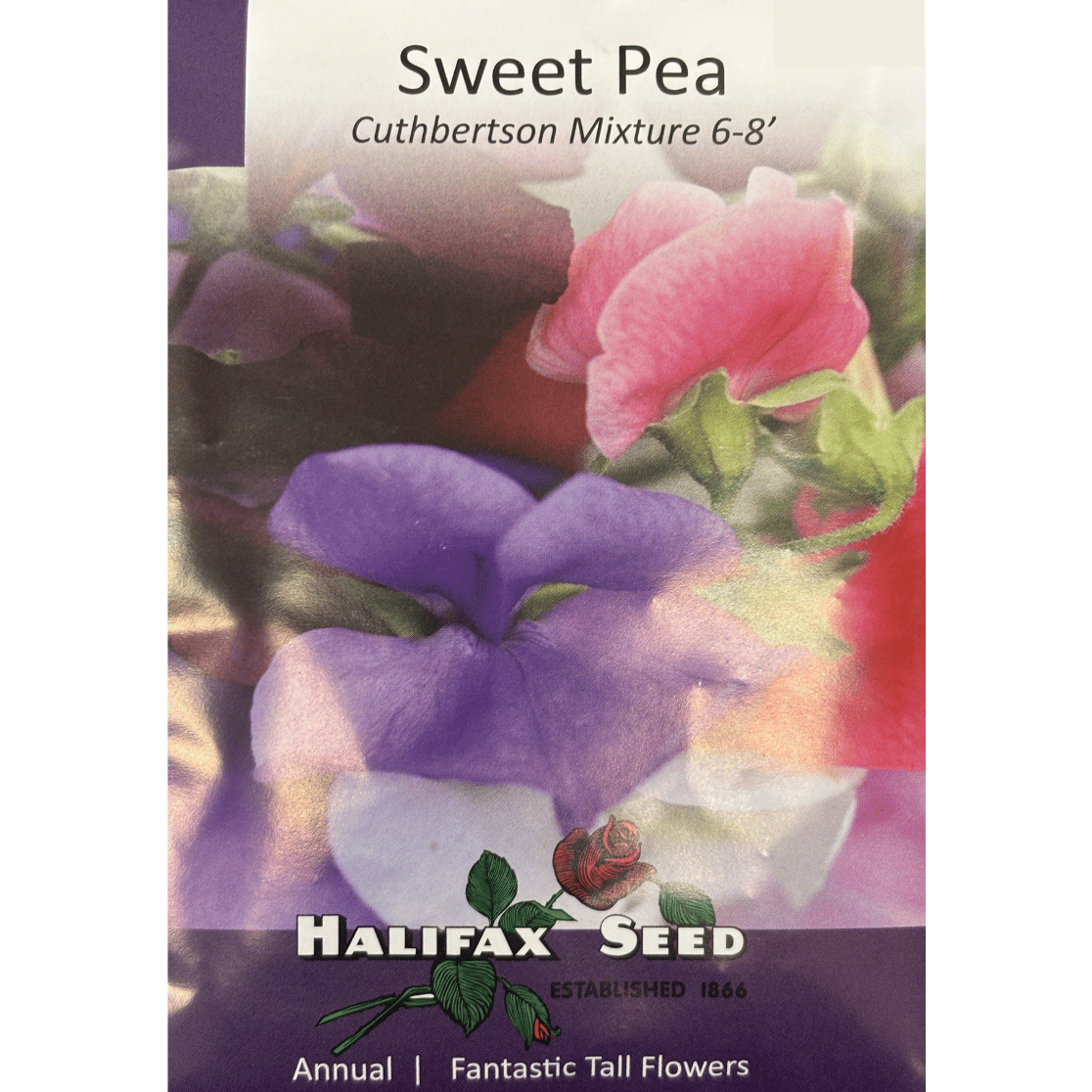 Halifax Seed Sweet Pea Cuthbertson Mix Pkg.