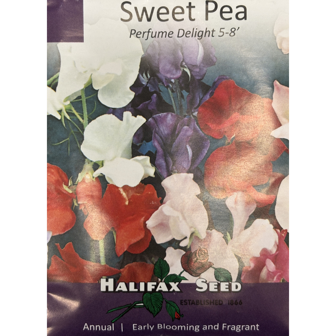 Halifax Seed Sweet Pea Perfume Delight Pkg.