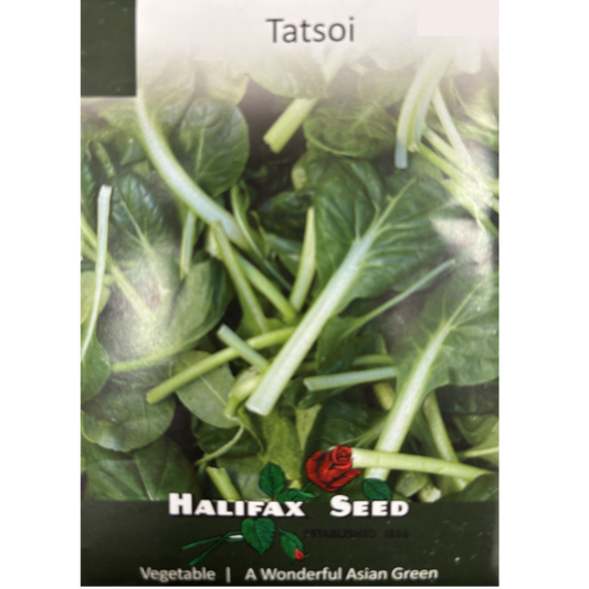 Halifax Seed Tatsoi Pkg.