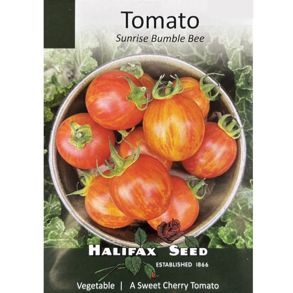 Halifax Seed Tomato Sunrise Bumble Bee Pkg.