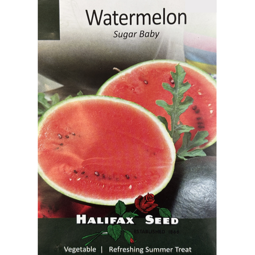 Halifax Seed Watermelon Sugar Baby Pkg.