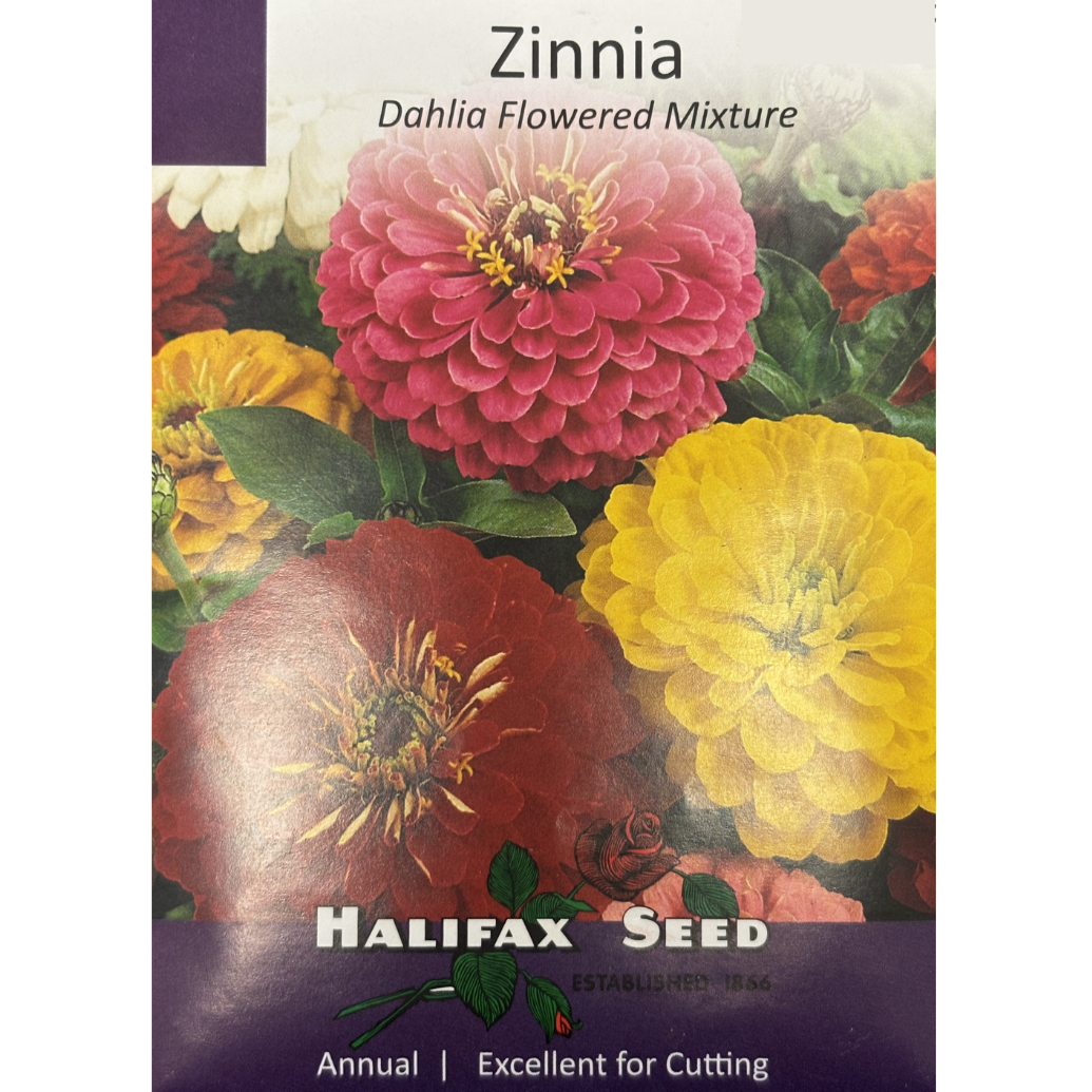 Halifax Seed Zinnia Dahlia Flowered Mixture Pkg.