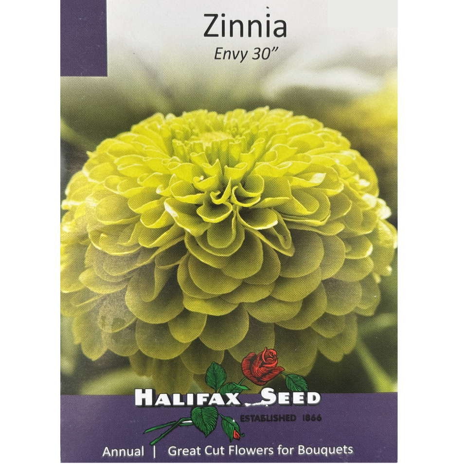 Halifax Seed Zinnia Envy Pkg.