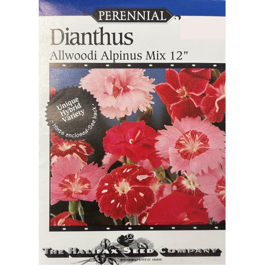 Halifax Seed Dianthus Allwoodi Alpinus Mix Pkg.