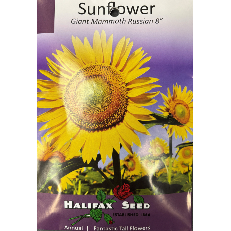 Halifax Seed Sunflower Giant Mammoth Russian Pkg.