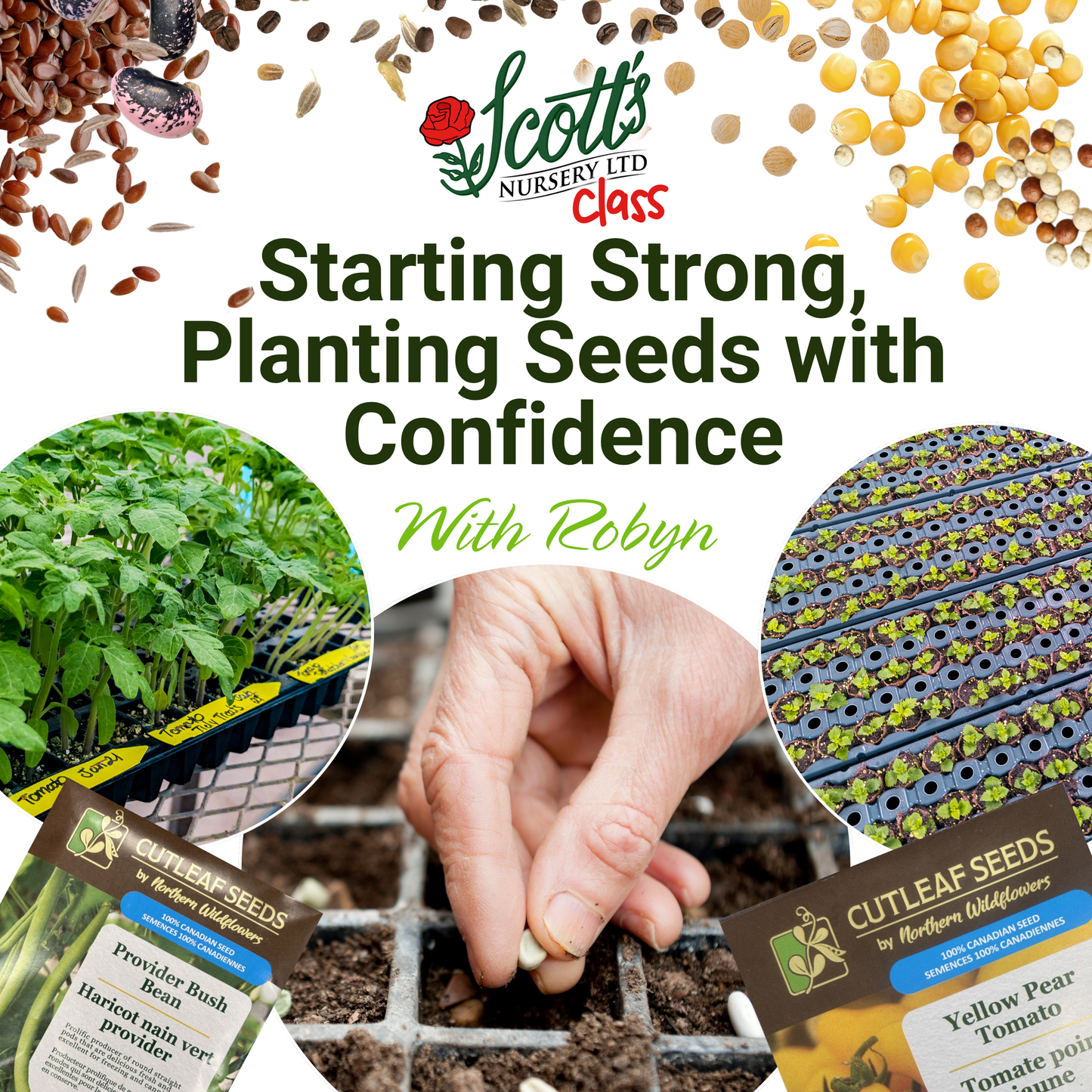 Starting Strong, Planting Seeds with Confidence