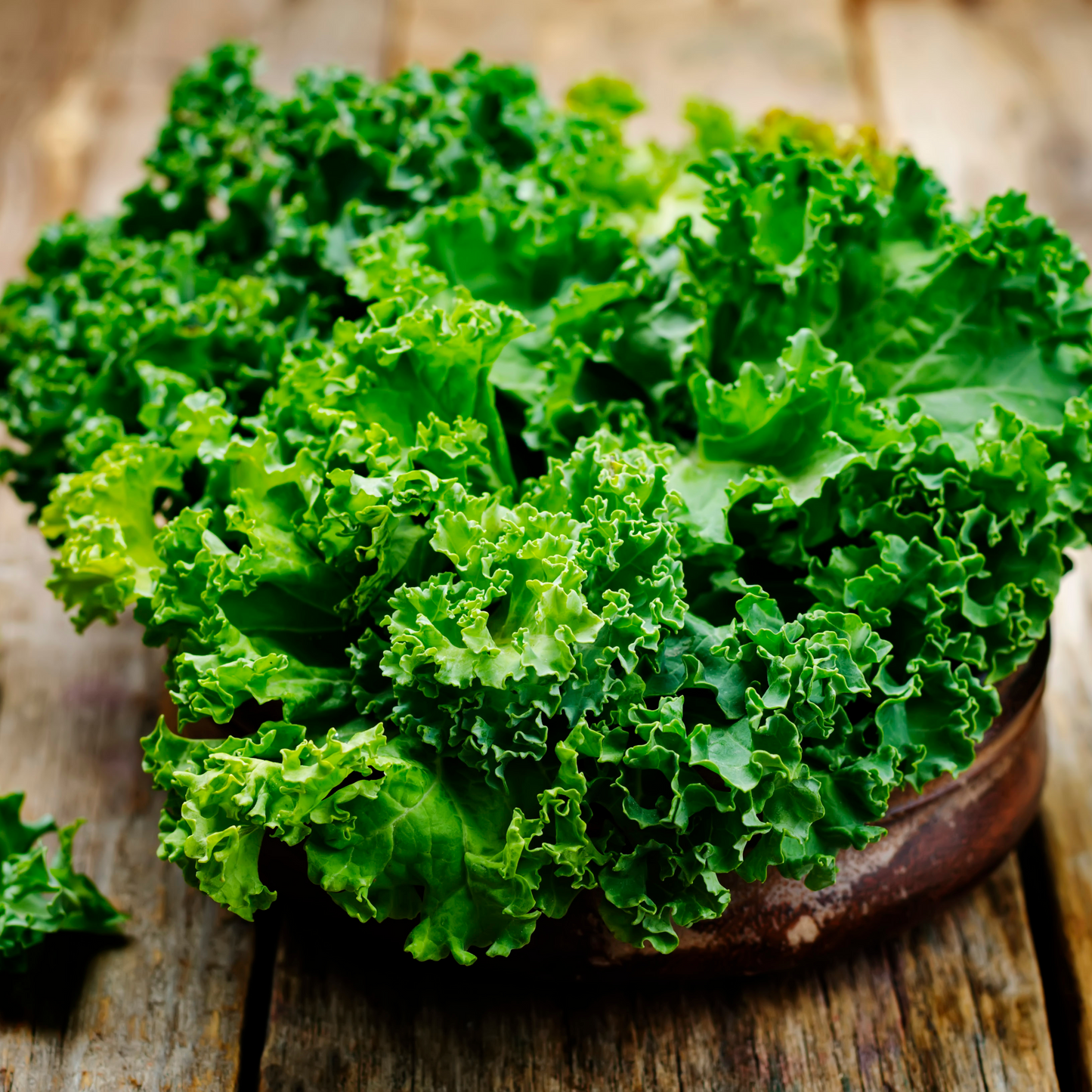 Kale 'Darkibor'