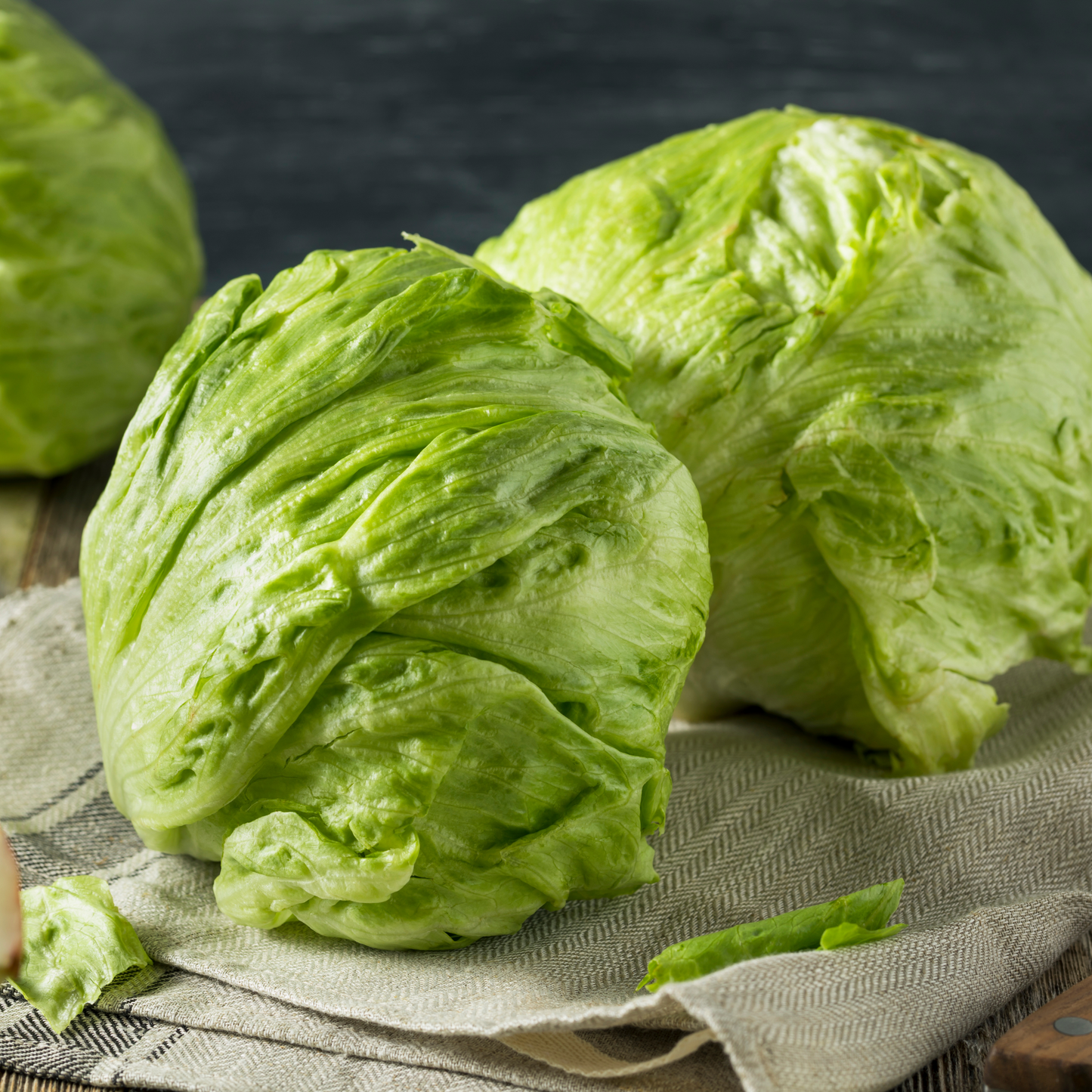 Lettuce 'Great Lakes 659'