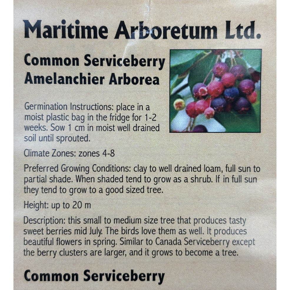 Maritime Arboretum Seed Common Serviceberry